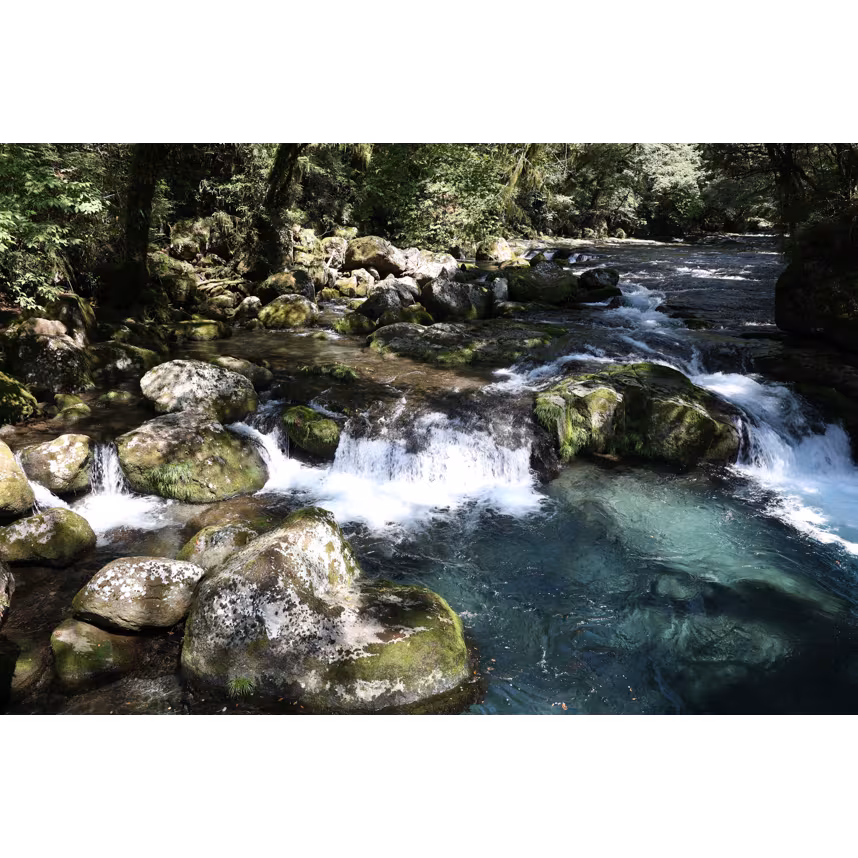 Canon RF 24-50/4.5-6.3 IS STM​