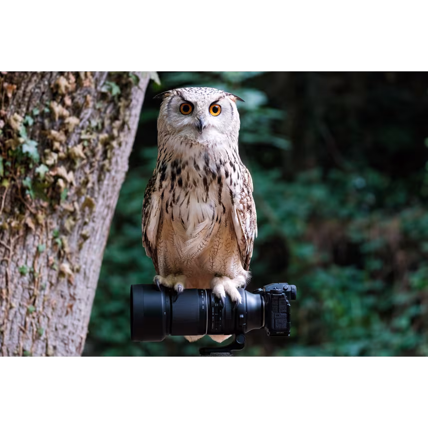 Tamron 150-500/5-6.7 Di III VC VXD für Fujifilm X