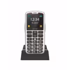 Beafon SL260 2G 2025 Silver-Black