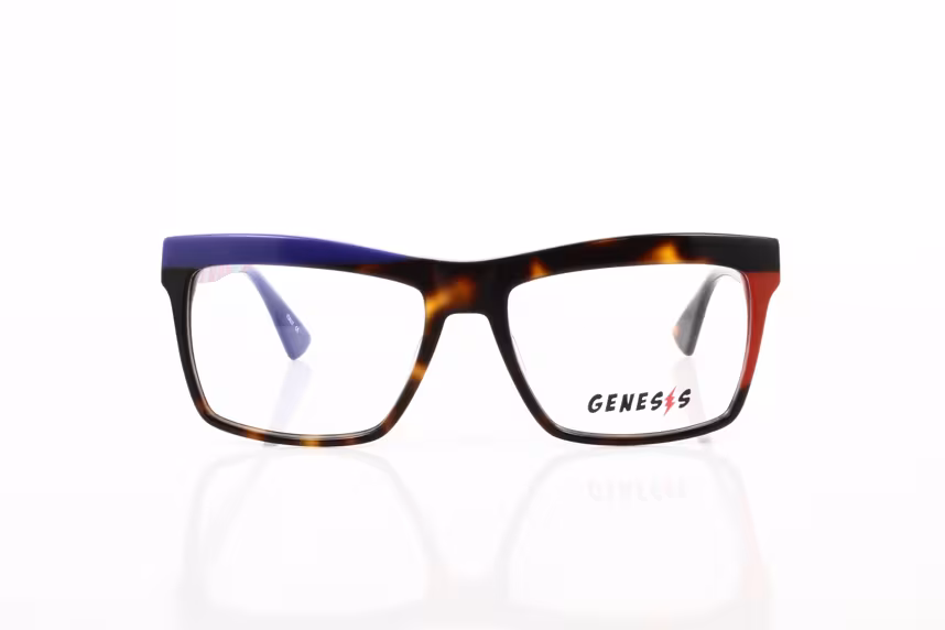 GV 1526 C5 Damenbrille Kunststoff