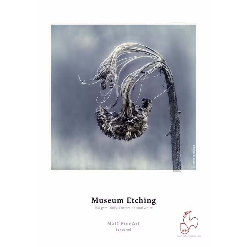 Hahnemühle Museum Etching Deckle Edge 350gsm A2 25 Blatt 