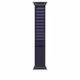 Apple Watch 49mm Alpin Loop L marine
