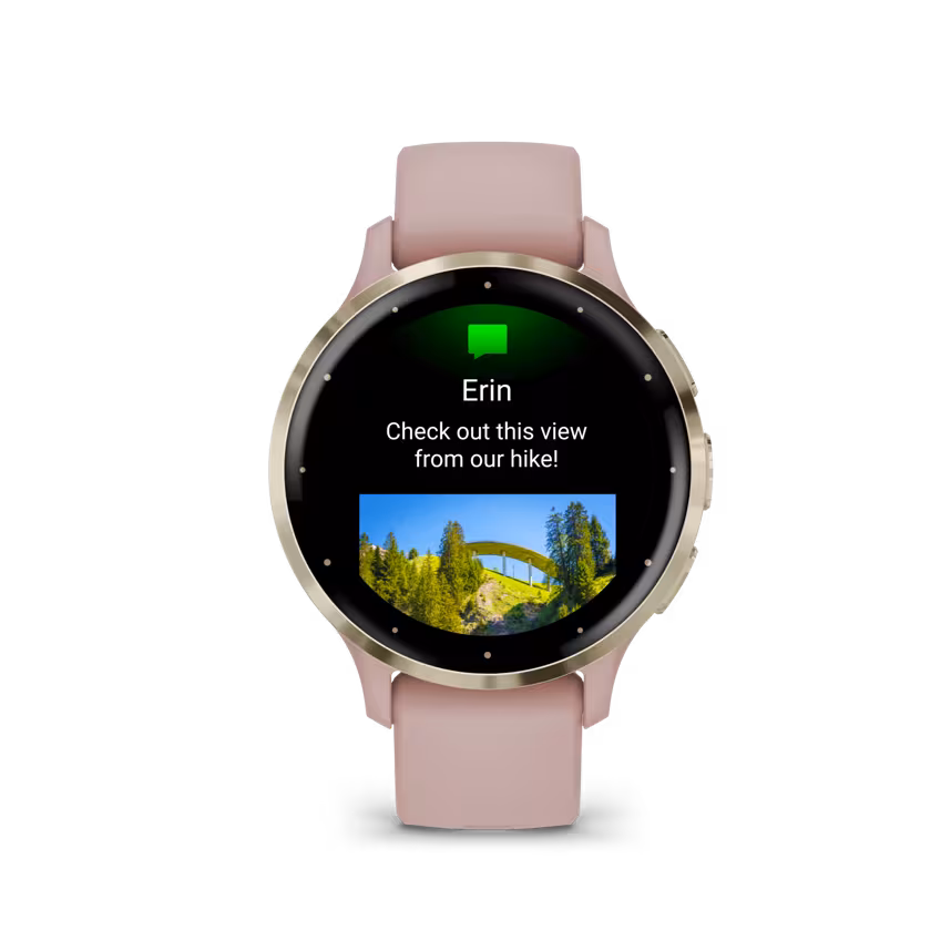 Garmin Venu 3S pink dawn/soft gold