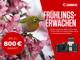 Werbegrafik von Canon: Ein Japanbrillenvogel sitzt auf einem Kirschbl&uuml;ten-Ast in der Natur. Daneben roter Bereich mit Text &bdquo;Fr&uuml;hlingserwachen&ldquo;, Aktionszeitraum 13.04. - 03.05.2026 und Hinweis auf bis zu 800 Euro Rabatt. Abgebildet sind eine Canon Kamera und Objektive.
