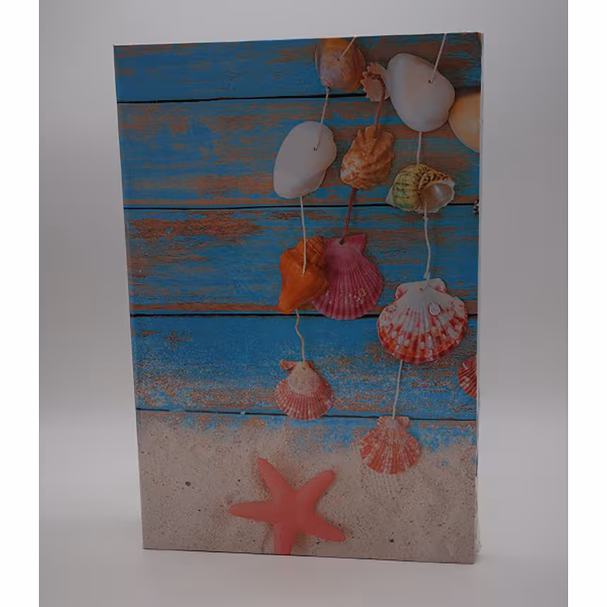 Slip-In DX-9304 10x15 "Vita" für 300 Fotos