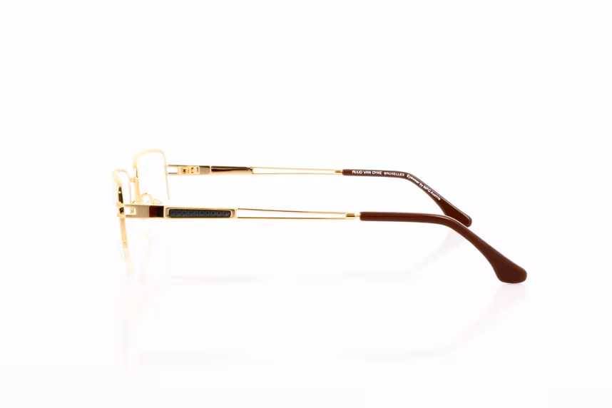 Ruud van Dyke 1018-2