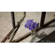Sony SEL 50/1,8
