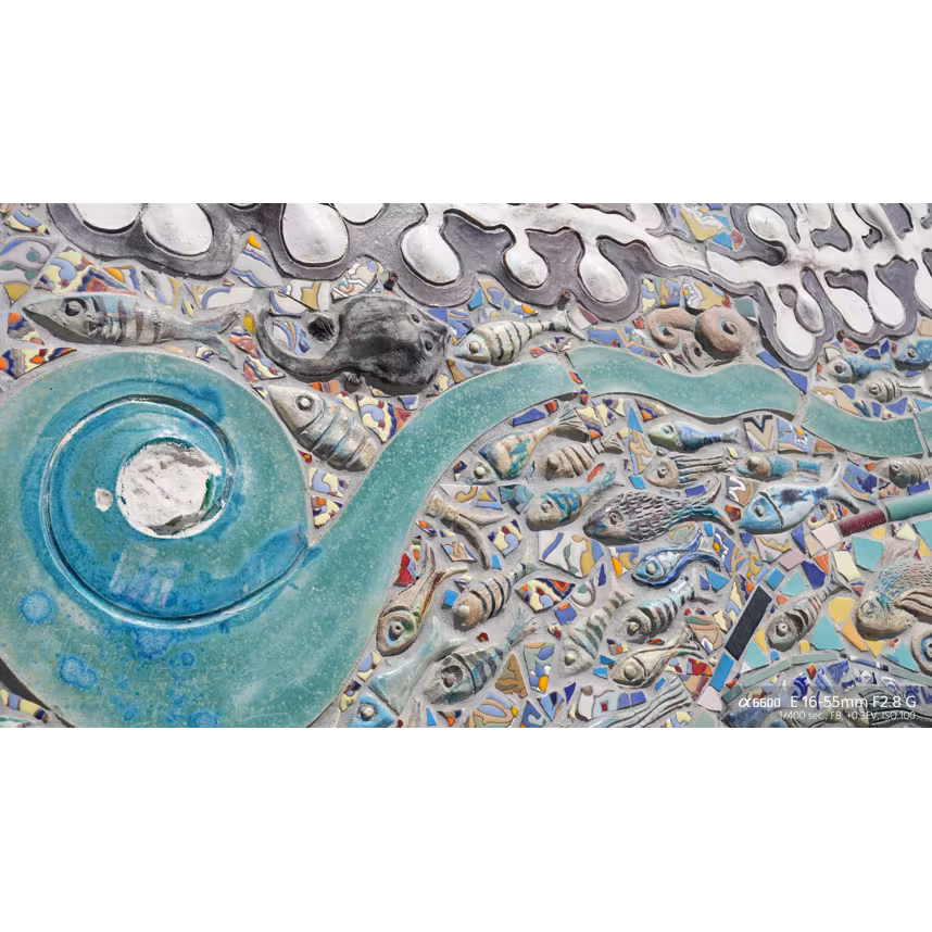 Sony SEL 16-55/2,8 G