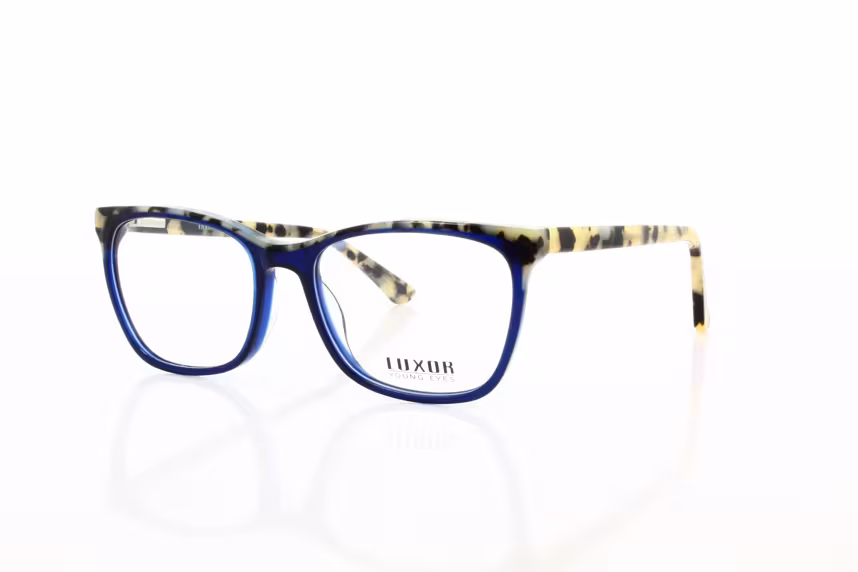 LX 309 C5 Herrenbrille Kunststoff