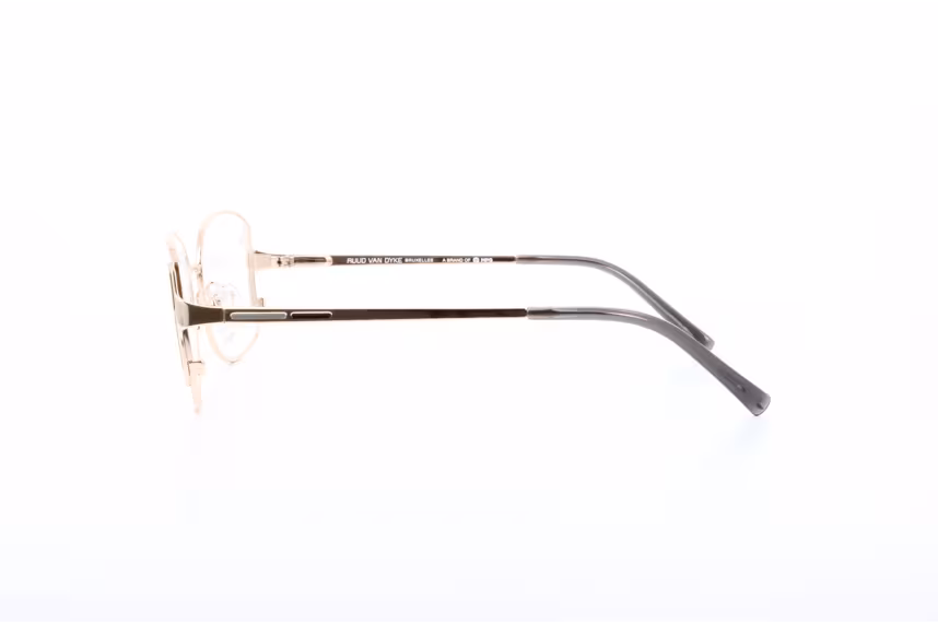 Ruud van Dyke 1733TL-1H