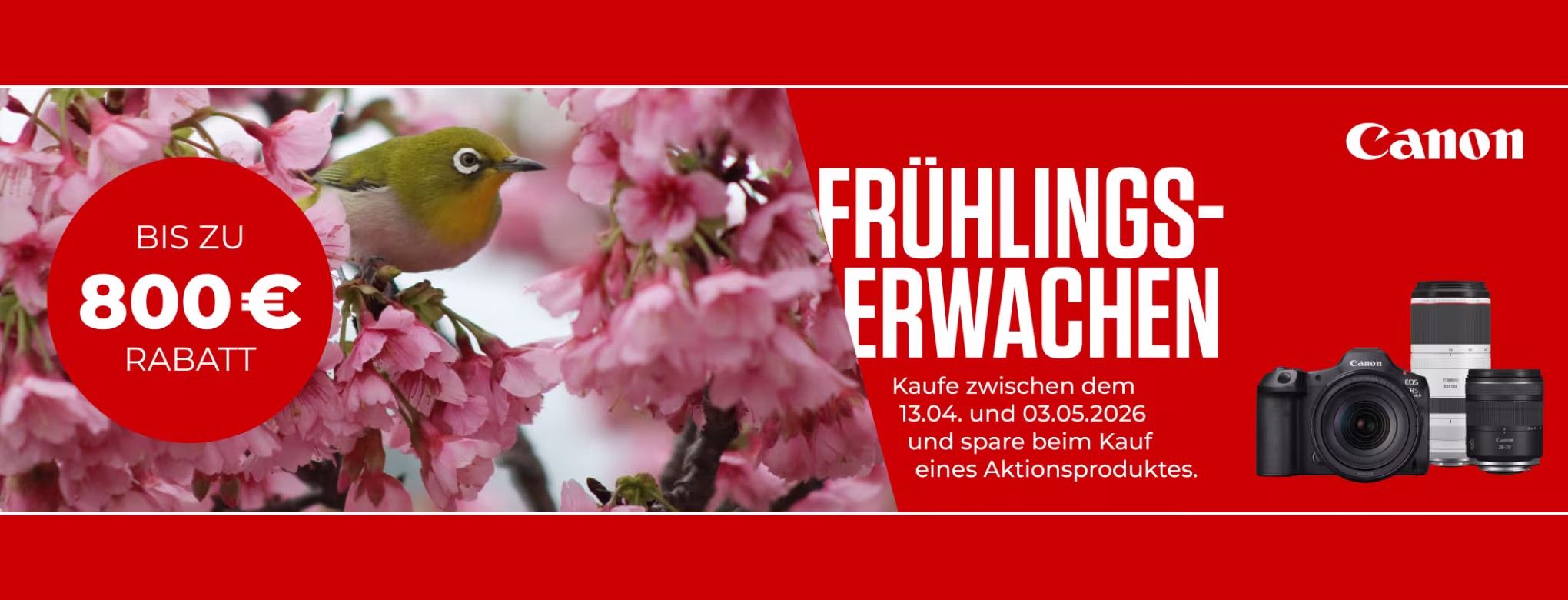 Werbegrafik von Canon: Ein Japanbrillenvogel sitzt auf einem Kirschbl&uuml;ten-Ast in der Natur. Daneben roter Bereich mit Text &bdquo;Fr&uuml;hlingserwachen&ldquo;, Aktionszeitraum 13.04. - 03.05.2026 und Hinweis auf bis zu 800 Euro Rabatt. Abgebildet sind eine Canon Kamera und Objektive.