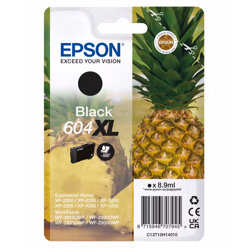 Epson Singlepack Ink Nr. 604XL black