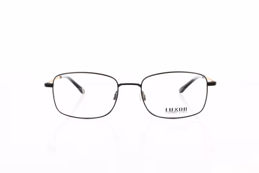 LX 301 C2 Herrenbrille Metall