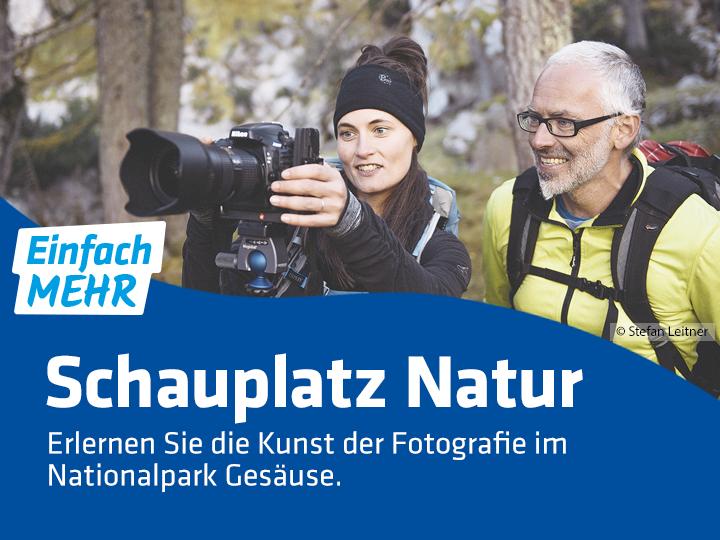 Eine Frau und ein Mann stehen im Wald und blicken auf den Bildschirm einer Kamera. Auf der Grafik steht folgender Text: "Einfach mehr. Schauplatz Natur. Erlernen Sie die Kunst der Fotografie im Nationalpark Gesäuse."