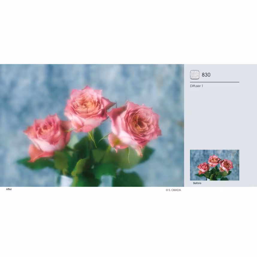 Cokin Z830 Diffuser 1