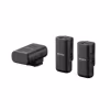 Sony ECM-W3 Kabelloses Mikrofonsystem 