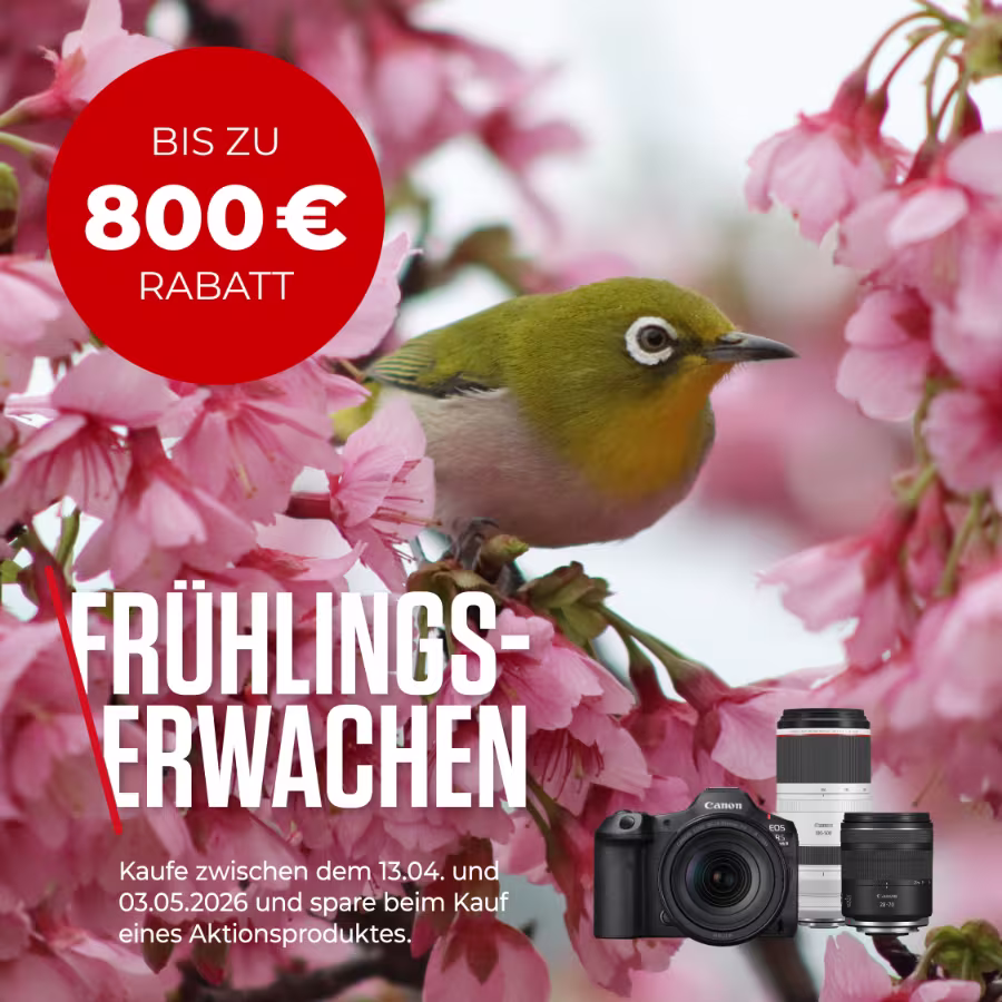 Werbegrafik von Canon: Ein Japanbrillenvogel sitzt auf einem Kirschbl&uuml;ten-Ast in der Natur. Daneben roter Bereich mit Text &bdquo;Fr&uuml;hlingserwachen&ldquo;, Aktionszeitraum 13.04. - 03.05.2026 und Hinweis auf bis zu 800 Euro Rabatt. Abgebildet sind eine Canon Kamera und Objektive.