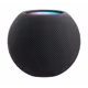 Apple Homepod mini Space grau
