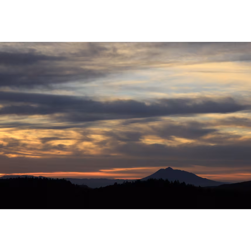 Sigma 56/1,4 DC DN Canon RF