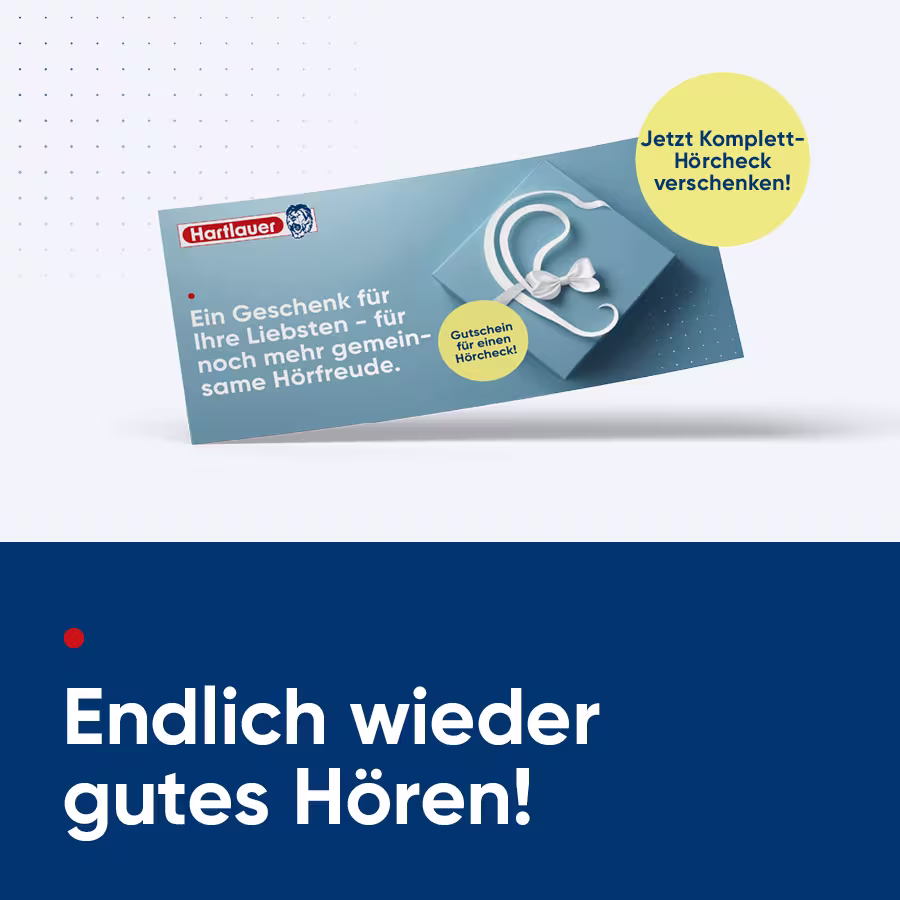 Web_2025_12_AB_Geschenkkarte_xMAS_KI_Loewe_Grafiken2