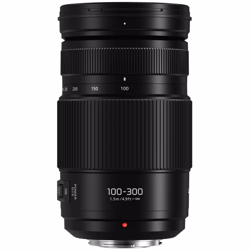 Panasonic 100-300/4-5,6II Lumix G Vario OIS