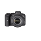 Canon EOS R6 + RF 24-105/4,0-7,1 IS STM