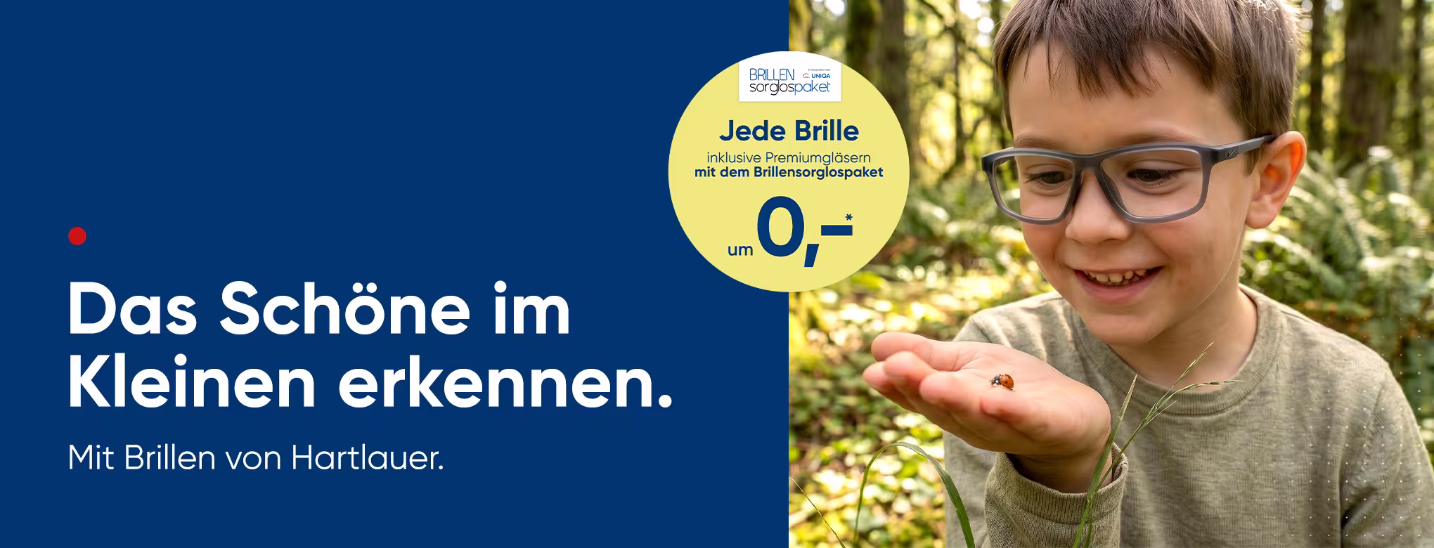 Web_2026_06_OP_Vergleichen_zahlt_sich_aus_BSP_Grafiken_desktop_2040x780px