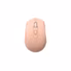 Axxtra Maus rose