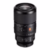 Sony FE 100/2,8 Macro GM