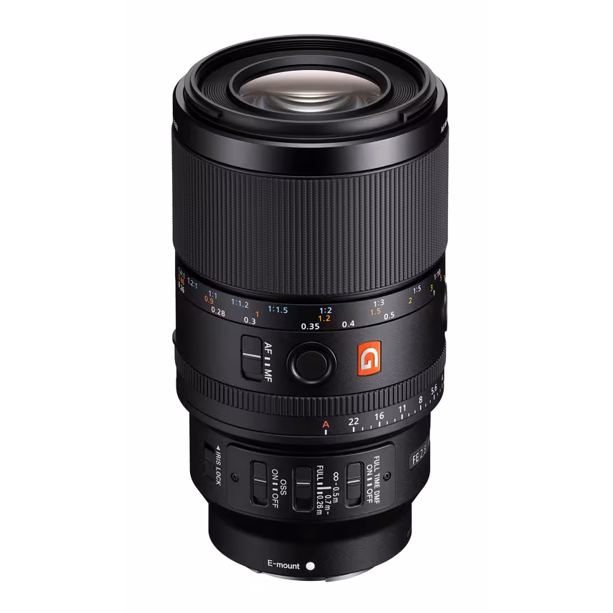 Sony FE 100/2,8 Macro GM