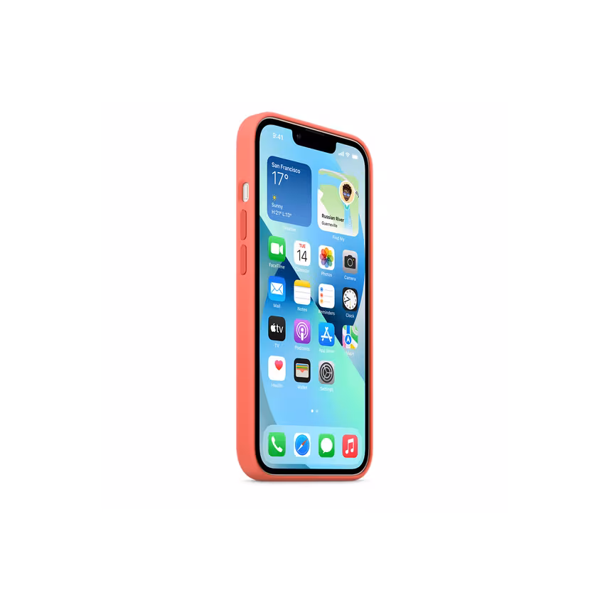 Apple iPhone 13 Silikon Case mit MagSafe pink pomelo