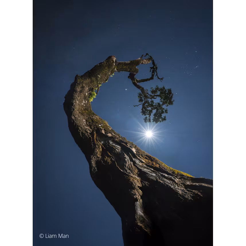 Sony SEL FE 20-70/4,0 G