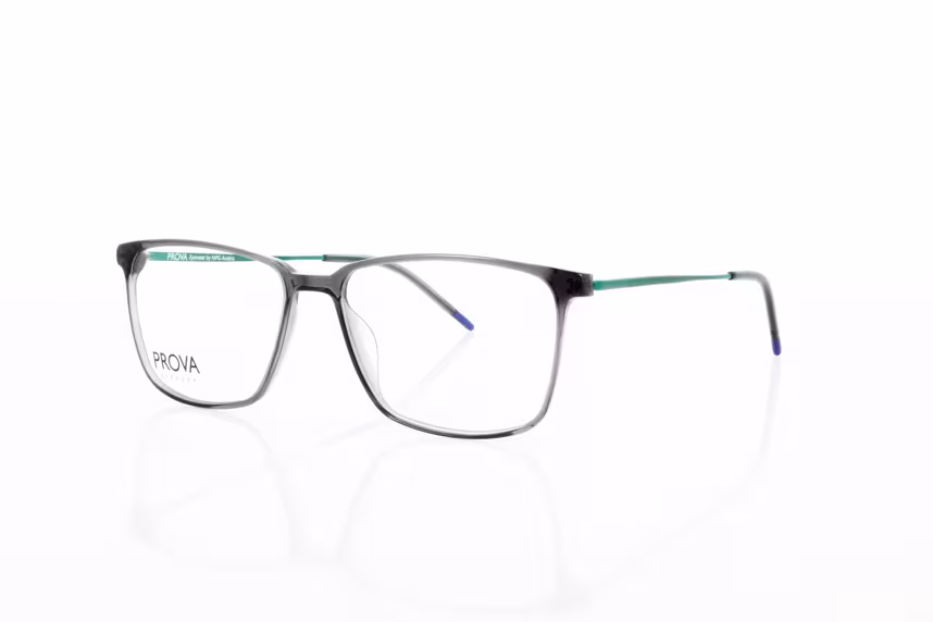 PL 616-001 Herrenbrille Kunststoff