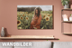 Grafik zur Bewerbung von Wandbildern, die mit der FotoWorld App gestaltet werden können. Ein selbst gestaltetes Wandbild von einer schwangeren Frau inmitten eines Sonnenblumenfeldes hängt an einer Wand über einer Couch. In weißer Schrift steht folgender Text: "Wandbilder."