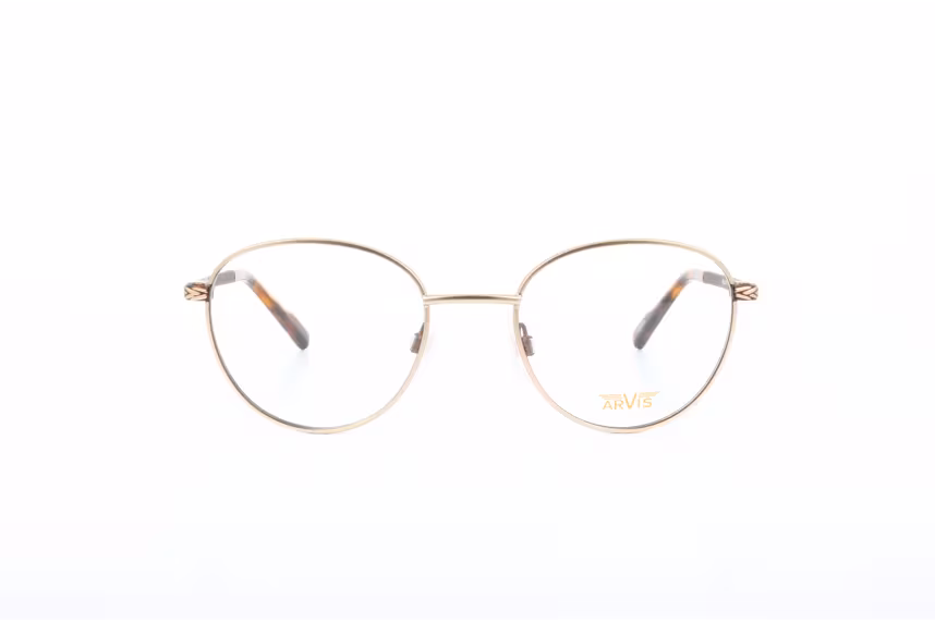 Arvis 171 C1