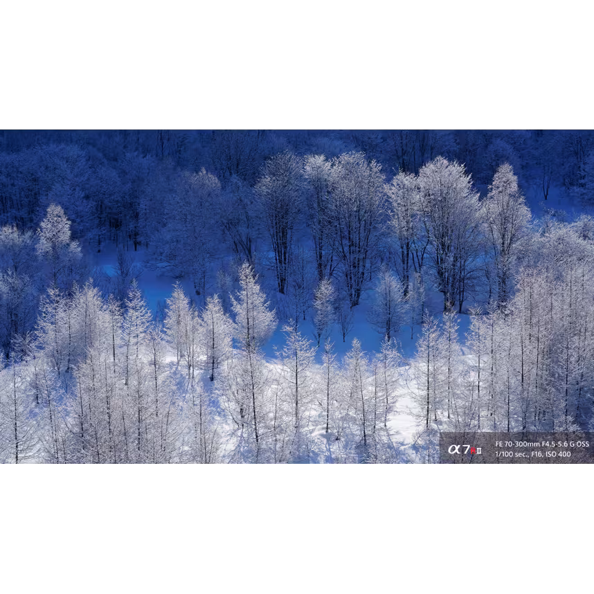 Sony SEL FE 70-300/4,5-5,6G OSS