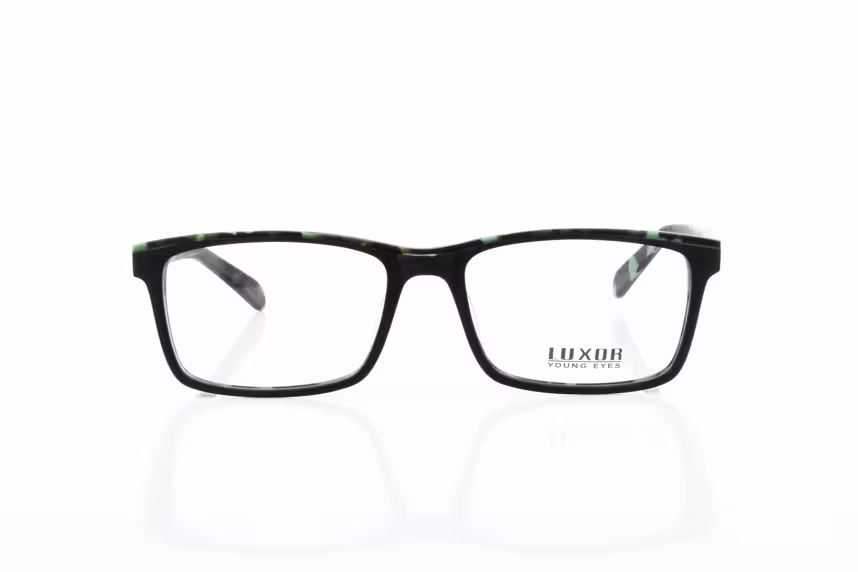 LX 296 C1 Herrenbrille Kunststoff