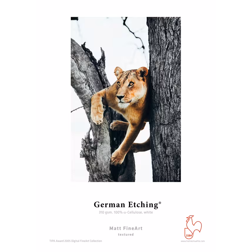 Hahnemühle German Etching 310gsm A3 25 Blatt 