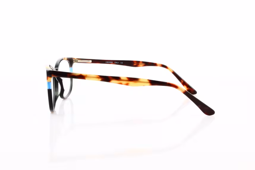 LX 308 C2 Damenbrille Kunststoff