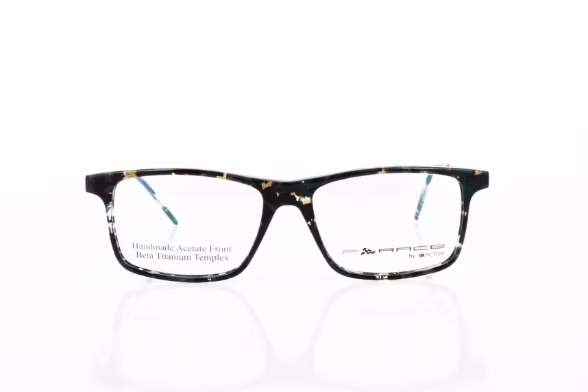 FR133 C2 Herrenbrille Kunststoff