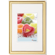 Trendstyle 30x40 Kunststoff gold