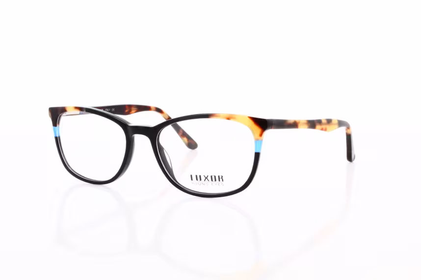 LX 308 C2 Damenbrille Kunststoff