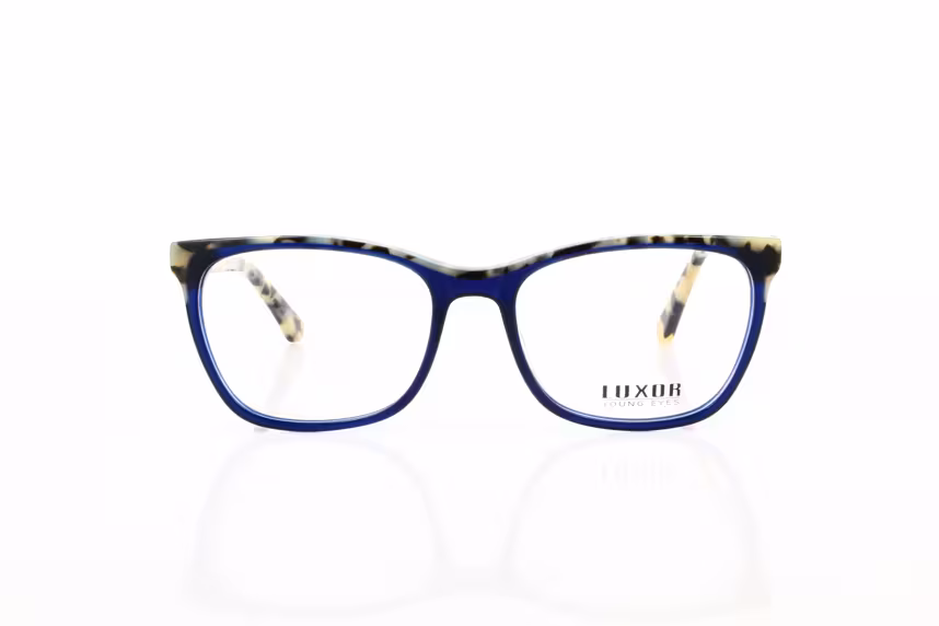 LX 309 C5 Herrenbrille Kunststoff