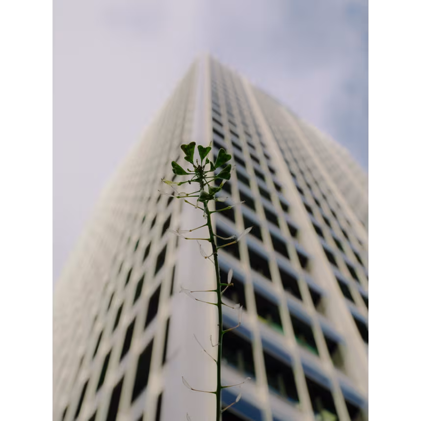 OM SYSTEM OM-3 + 12-45/4.0 PRO