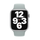 Apple Watch 38/40/41mm Sportarmband agavengrün