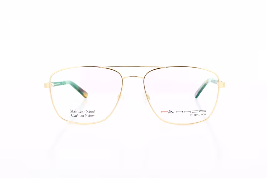 FR 134 C2 Metallbrille Carbon