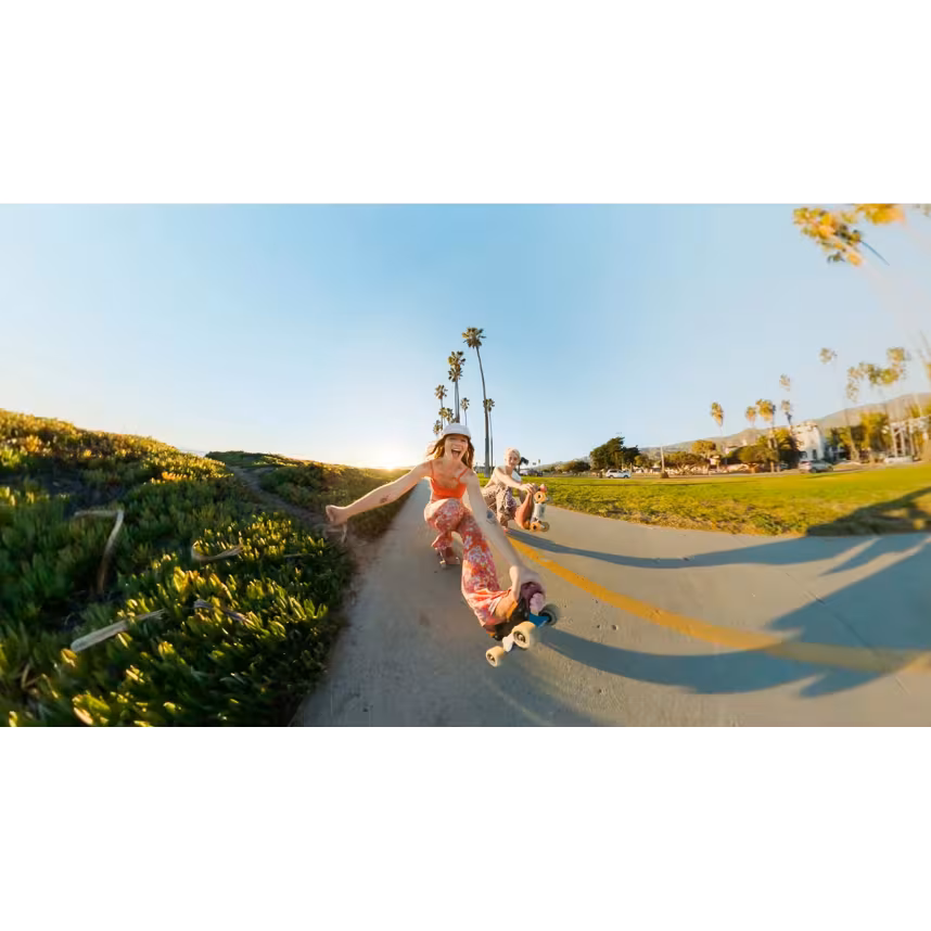 GoPro 4ft (1,2m) Extension Pole