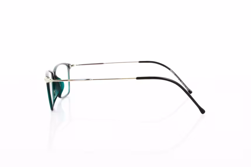 EM 24-0298 C05 Kunststoffbrille