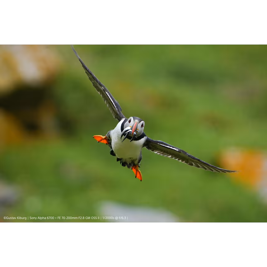 Sony Alpha 6700 + SEL 16-50/3,5-5,6 OSS PZ