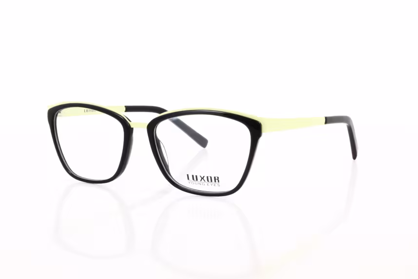 LX 306 C4 Damenbrille Kunststoff